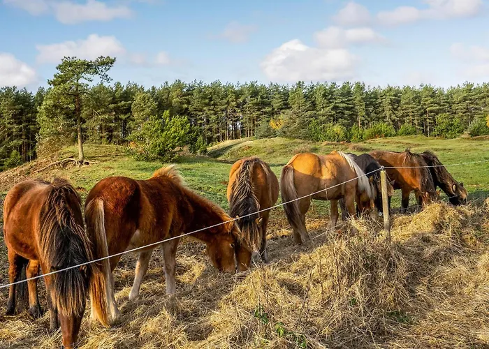 3 Bedroom Stunning In Pandrup